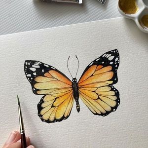 Meet your Posher, Ash